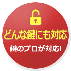 どんな鍵にも対応、鍵のプロが対応！